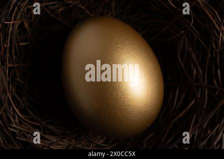 Close-up view of Golden egg in nest on a dark table. Easter concept. Stock Photo