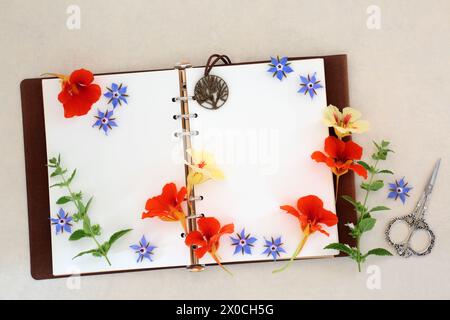 Herb and flower preparation for cold and flu remedy with borage, nasturtium and lemon balm with old leather recipe book. Natural alternative medicine. Stock Photo