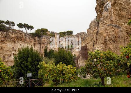 In the archeological park in Siracusa, the limestone quarries have become a tropical garden with fruit trees and art Stock Photo
