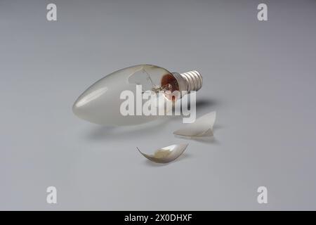 broken incandescent light bulb with pieces isolated gray background, exposed filament materials and glass shards, selective focus with copy space Stock Photo