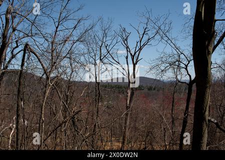 An overlook on the Appalachian Trail near Pen Mar Park in Pennsylvania Stock Photo