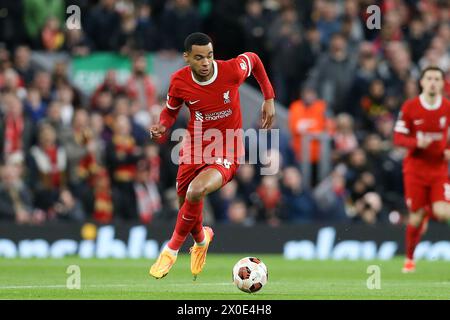 Liverpool, UK. 11th Apr, 2024. Cody Gakpo of Liverpool. UEFA Europa League, Quarter-final 1st leg match, Liverpool v Atalanta at Anfield in Liverpool on Thursday 11th April 2024. this image may only be used for Editorial purposes. Editorial use only. pic by Chris Stading/Andrew Orchard sports photography/Alamy Live news Credit: Andrew Orchard sports photography/Alamy Live News Stock Photo