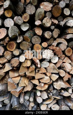 A pile of chopped firewood logs ready for the winter. Cut logs fire wood. Hardwood, wood and lumber industry. Heating season, winter season. Renewable Stock Photo