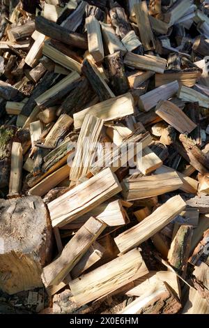 A pile of chopped firewood logs ready for the winter. Cut logs fire wood. Hardwood, wood and lumber industry. Heating season, winter season. Renewable Stock Photo