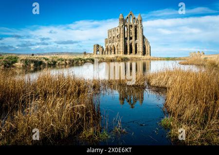 Whitby Abbey, North Yorkshire, UK. Stock Photo