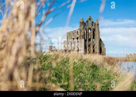 Whitby Abbey, North Yorkshire, UK. Stock Photo