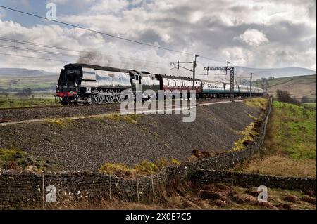Steam locomotive 'Tangmere' hauls a special train bound for Carlisle on the West Coast Main line at Greenholme near Tebay, Cumbria Stock Photo