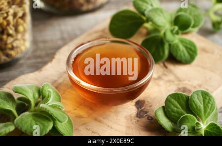 A bowl of homemade Plectranthus amboinicus syrup for common cold, with fresh plant Stock Photo