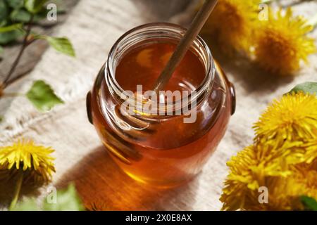 A glass jar of dandelion honey - syrup made from fresh Taraxacum flowers in spring, with a dipper Stock Photo