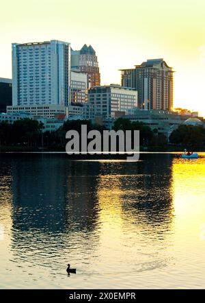 high-rise apartments and condos on Lake Eola at sunset in Orlando, Florida - USA Stock Photo