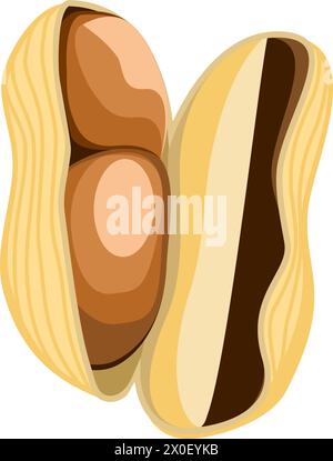 Peanut nut open in flat technique. Vector illustration Stock Vector