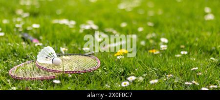 Two badminton rackets and a shuttlecock lie on the green grass. Outdoor recreation and fresh air. The sun's rays. Lawn for playing badminton. Stock Photo