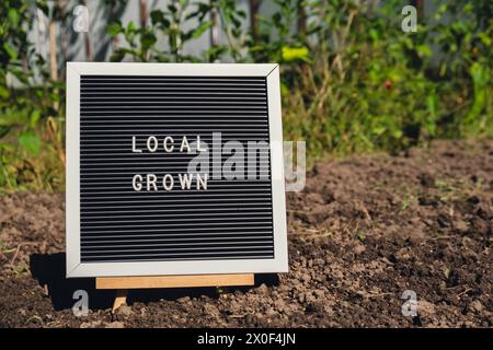 LOCAL GROWN message on background of fresh eco-friendly bio grown bell peppers in garden. Countryside food production concept. Locally produce harvesting. Sustainability and responsibility  Stock Photo