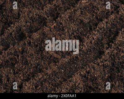 Close-up of the nutrient-rich soil as the basis for successful and sustainable sowing! Stock Photo