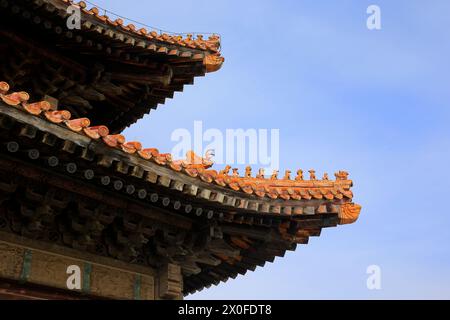 The blue glazed tiles on the wall as the background, the traditional architecture，Very elegant Stock Photo