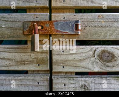 Rusty lock, hasp and staple on a wooden farmyard barn door. Stock Photo