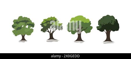 Set of trees vector illustrations isolated on white background. Botanical collection of trees useful to illustrate any nature or healthy lifestyle. Stock Vector