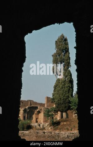 View through a window on a tree in the Villa Adriana in Tivoli. [automated translation] Stock Photo