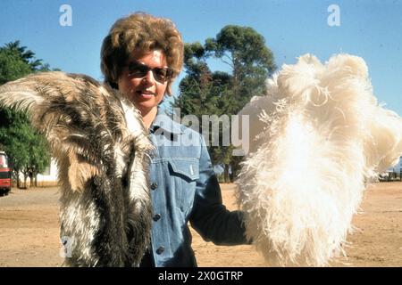 A woman wearing sunglasses holds white (male) and brown (female) ostrich feathers on an ostrich farm in Oudtshoorn. [automated translation] Stock Photo
