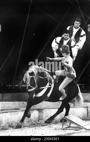 Photo taken at Zirkus Krone during the performances. In the picture, the circus performers show off their skills. [automated translation] Stock Photo