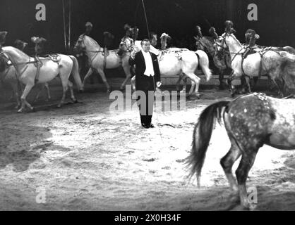 Photo taken at Zirkus Krone during the performances. In the picture, the circus horses show off their skills. [automated translation] Stock Photo