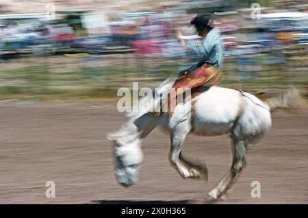 Cowboy on a mustang at a rodeo. [automated translation] Stock Photo - Alamy