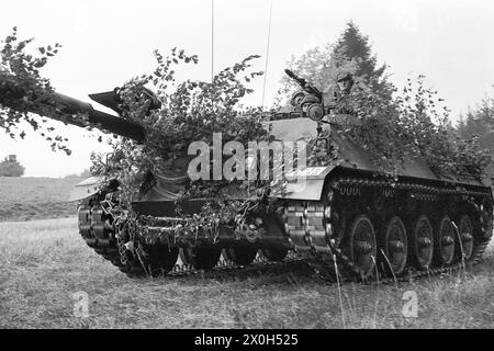 During a military exercise of the II Corps of the German Armed Forces in the Swabian Alb, a cannon fighter tank camouflaged with leaves stands in the forest. [automated translation] Stock Photo