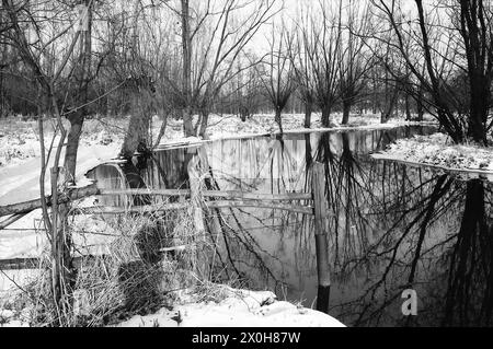 Tegler Fließ in winter [automated translation] Stock Photo