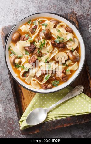 Thick beef stroganoff soup with homemade noodles and mushrooms close-up in a bowl on the table. Vertical top view from above Stock Photo