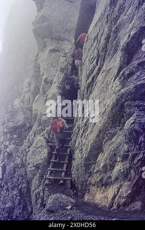 Hikers climb up a ladder on a steep section of the trail in the Karwendel in light fog [automated translation] Stock Photo