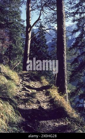 On the hiking trail around the Eibsee in fall, the trail in front, the Wetterstein mountains behind. [automated translation] Stock Photo