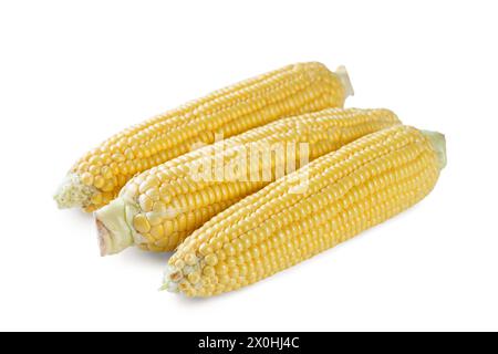 Three fresh yellow ears of corn isolated on white background. Food ingredient, design element, farm, harvest, agriculture. Stock Photo