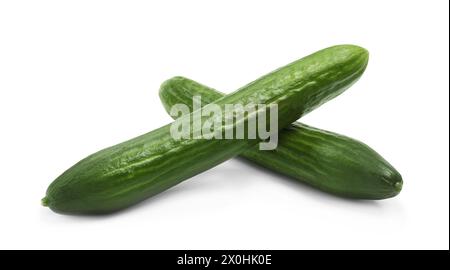 Two long fresh cucumbers isolated on white Stock Photo