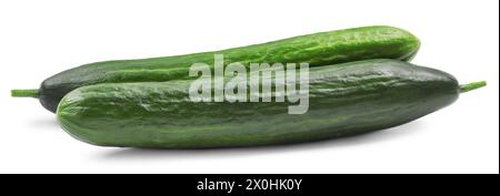 Two long fresh cucumbers isolated on white Stock Photo