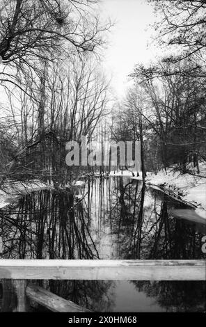 Nature reserve with an attempt at untouched nature [automated translation] Stock Photo