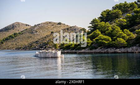 Scenic landscape with hills, limestone rocks and Maritime pine trees on shore of Dugi Otok island in Adriatic Sea, Croatia Stock Photo