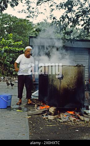 A man with a cloth around his head is standing at two large cooking cauldrons. They are standing on an open fireplace directly on the burning wood. They are steaming. Chickens are running around in the background. [automated translation] Stock Photo