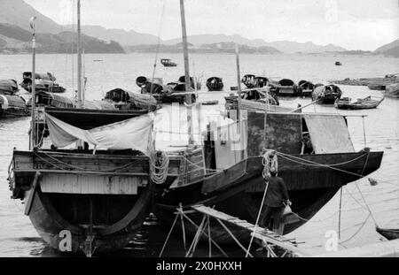 View over a sea bay in Hong Kong near Aberdeen. On the water are different sized boats and ships. [automated translation] Stock Photo