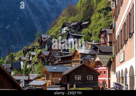 Hallstatt, Upper Austria, Austria. 12th Apr, 2024. Famous Austrian City of Hallstatt during the spring time. Hallstatt is a village on Lake Hallstatt's western shore in Austria's mountainous Salzkammergut region. Its 16th-century Alpine houses and alleyways are home to cafes and shops. The city is especially popular with Chinese tourists; so popular in fact, that China built a replica of the city, which opened in 2012. (Credit Image: © Andreas Stroh/ZUMA Press Wire/Alamy Live News) EDITORIAL USAGE ONLY! Not for Commercial USAGE! Stock Photo