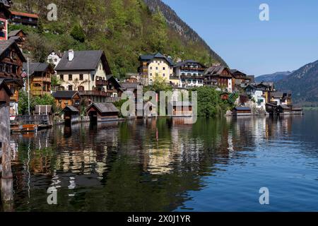 Hallstatt, Upper Austria, Austria. 12th Apr, 2024. Famous Austrian City of Hallstatt during the spring time. Hallstatt is a village on Lake Hallstatt's western shore in Austria's mountainous Salzkammergut region. Its 16th-century Alpine houses and alleyways are home to cafes and shops. The city is especially popular with Chinese tourists; so popular in fact, that China built a replica of the city, which opened in 2012. (Credit Image: © Andreas Stroh/ZUMA Press Wire/Alamy Live News) EDITORIAL USAGE ONLY! Not for Commercial USAGE! Stock Photo