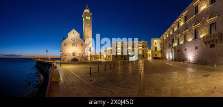 Panorama of the Piazza Duomo with the famous cathedral in Trani at night Stock Photo