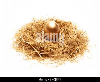 Golden egg in nest isolated on white background Stock Photo