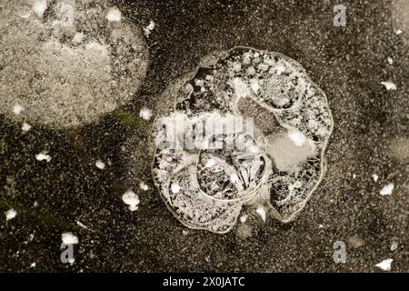 Air bubbles trapped in the ice, close-up, Germany Stock Photo