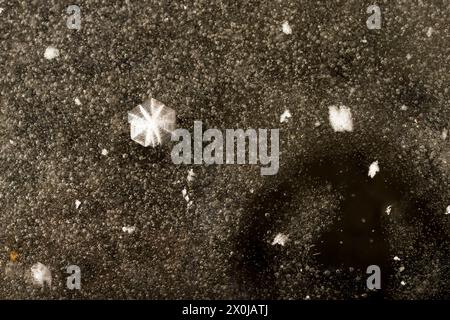 Air bubbles trapped in the ice, close-up, Germany Stock Photo