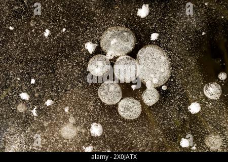 Air bubbles trapped in the ice, close-up, Germany Stock Photo