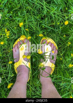 Pair of Light Green Flip Flops Isolated on White Background Stock Photo ...