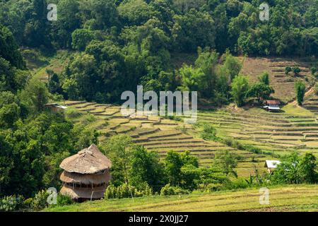 Landscape with rice terraces on the Pha Dok Sieo Nature Trail in Doi Inthanon National Park, Chiang Mai, Thailand, Asia Stock Photo
