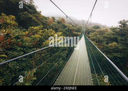 Hanging bridge in Monteverde Cloud Forest - Costa Rica Stock Photo