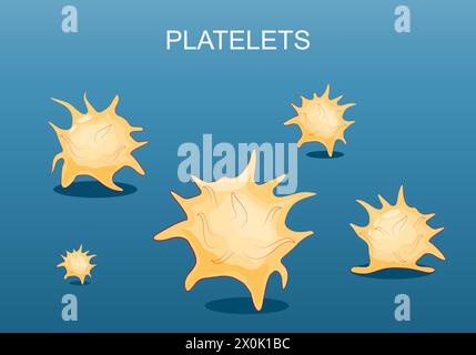 Platelets. Close-up of thrombocytes. Set icons. component of blood for coagulation. Isometric flat vector Illustration Stock Vector