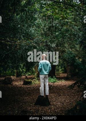 Rear view of a balding man Stock Photo - Alamy